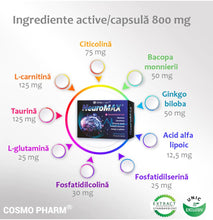 Load image into Gallery viewer, Neuromax Total Care, supliment alimentar, 30 capsule, Cosmopharm