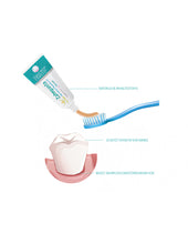 Load image into Gallery viewer, set: 3 x Pasta de dinți Parodont cu ulei de chimen negru Egiptean autentic, 75ml